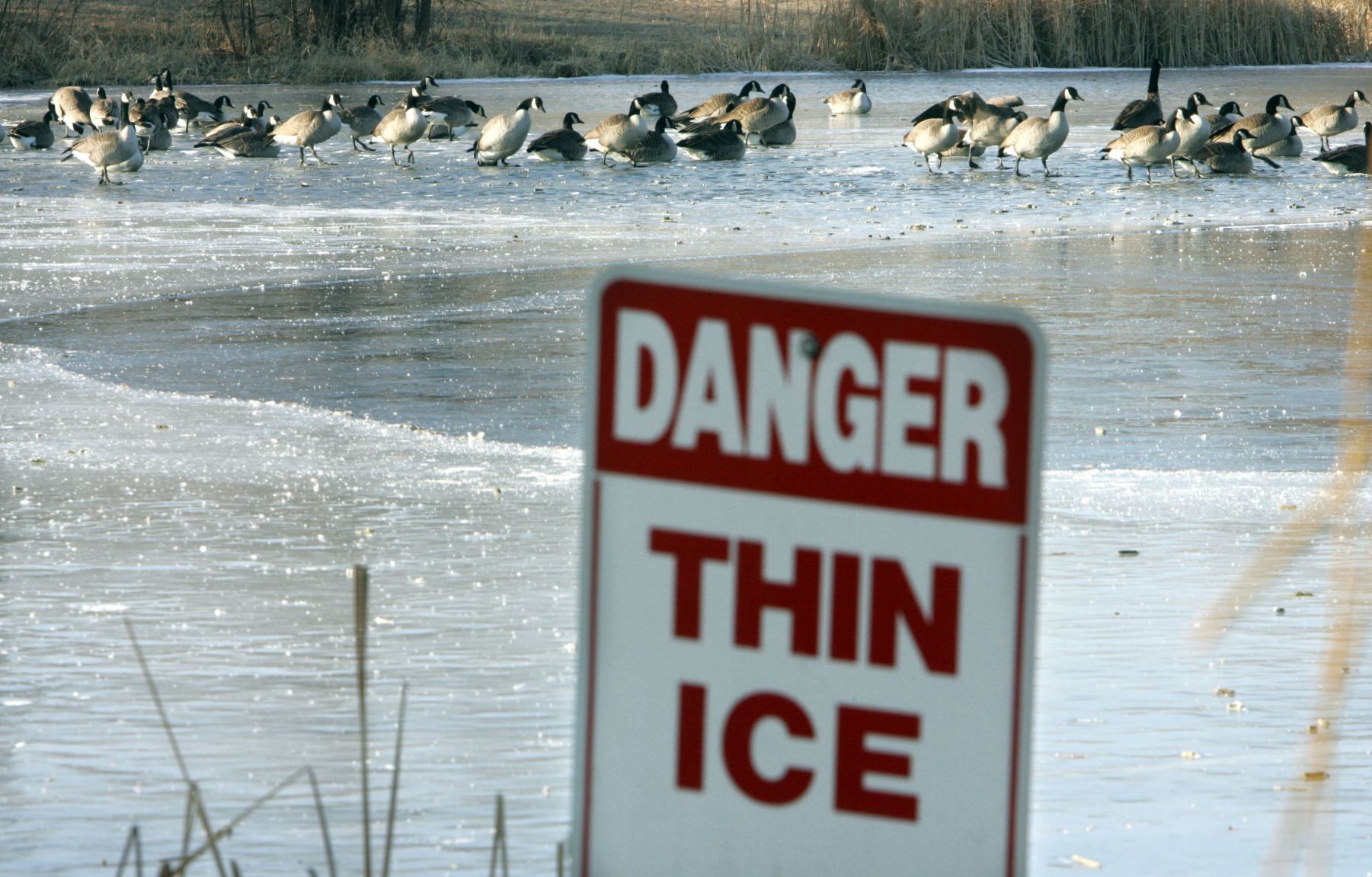 Platte River State Park
